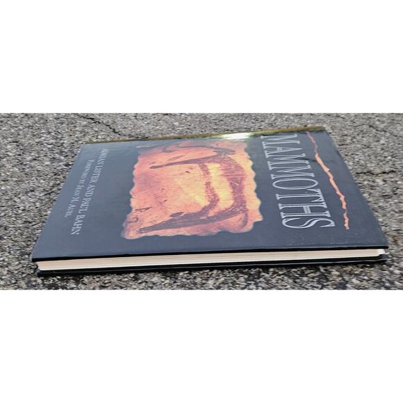 1994 Mammoths Adrian Lister & Paul Bahn Large Illustrated Hardcover Dust Jacket - Picture 4 of 8